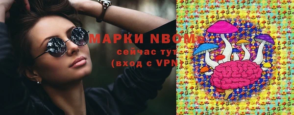 СК Михайлов