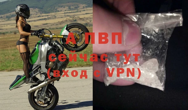 спиды Михайловск